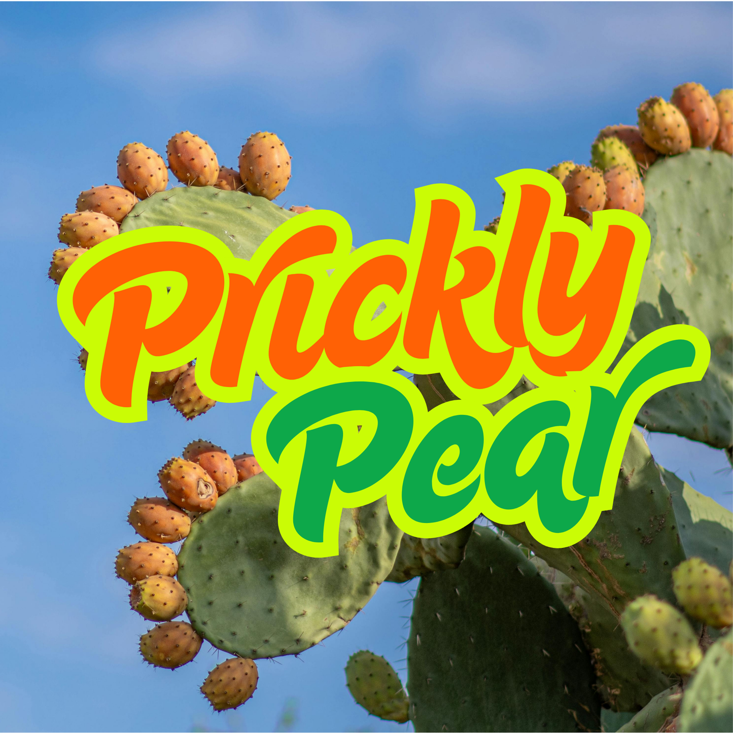 Prickly Pear Prescented Beads