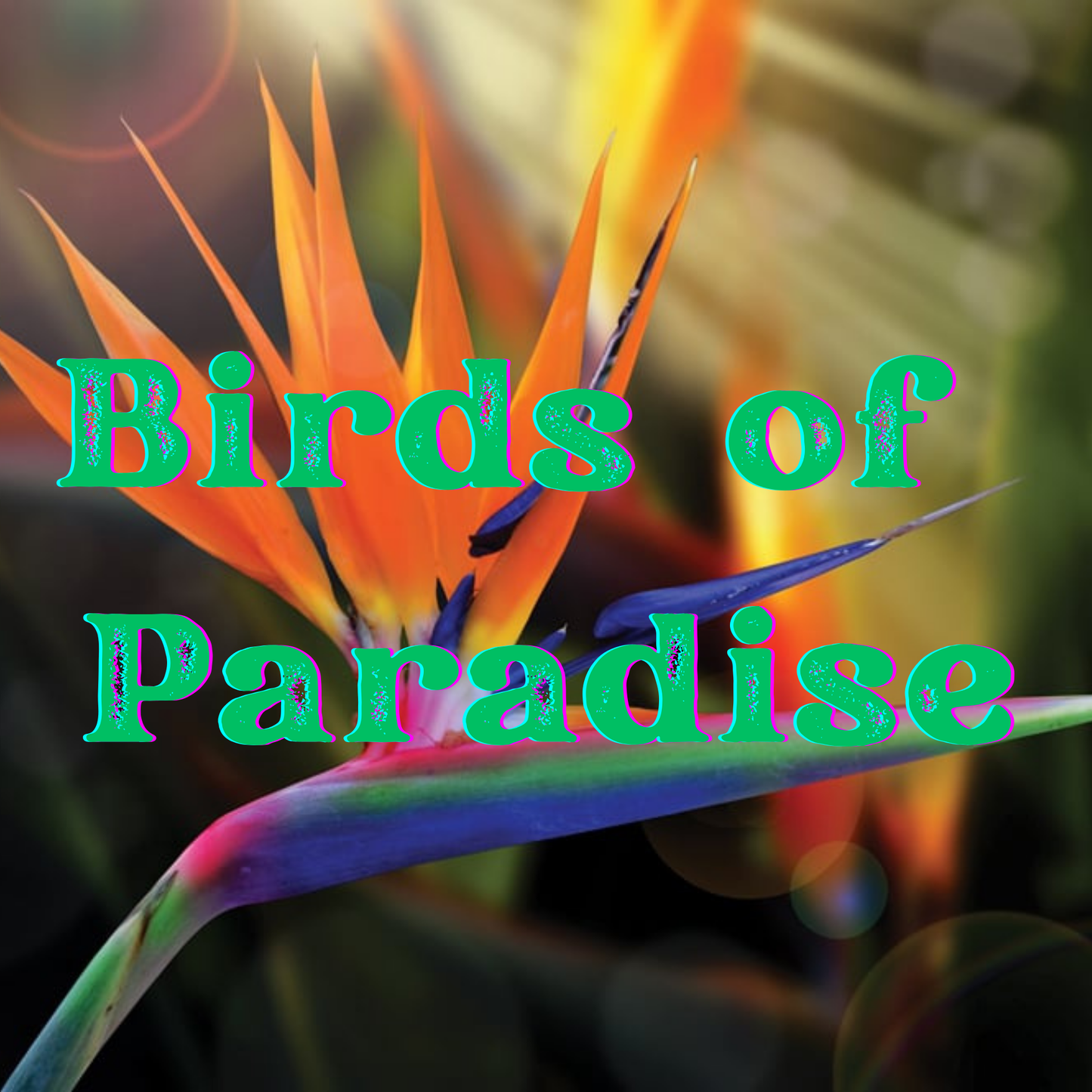 Birds Of Paradise Prescented Beads