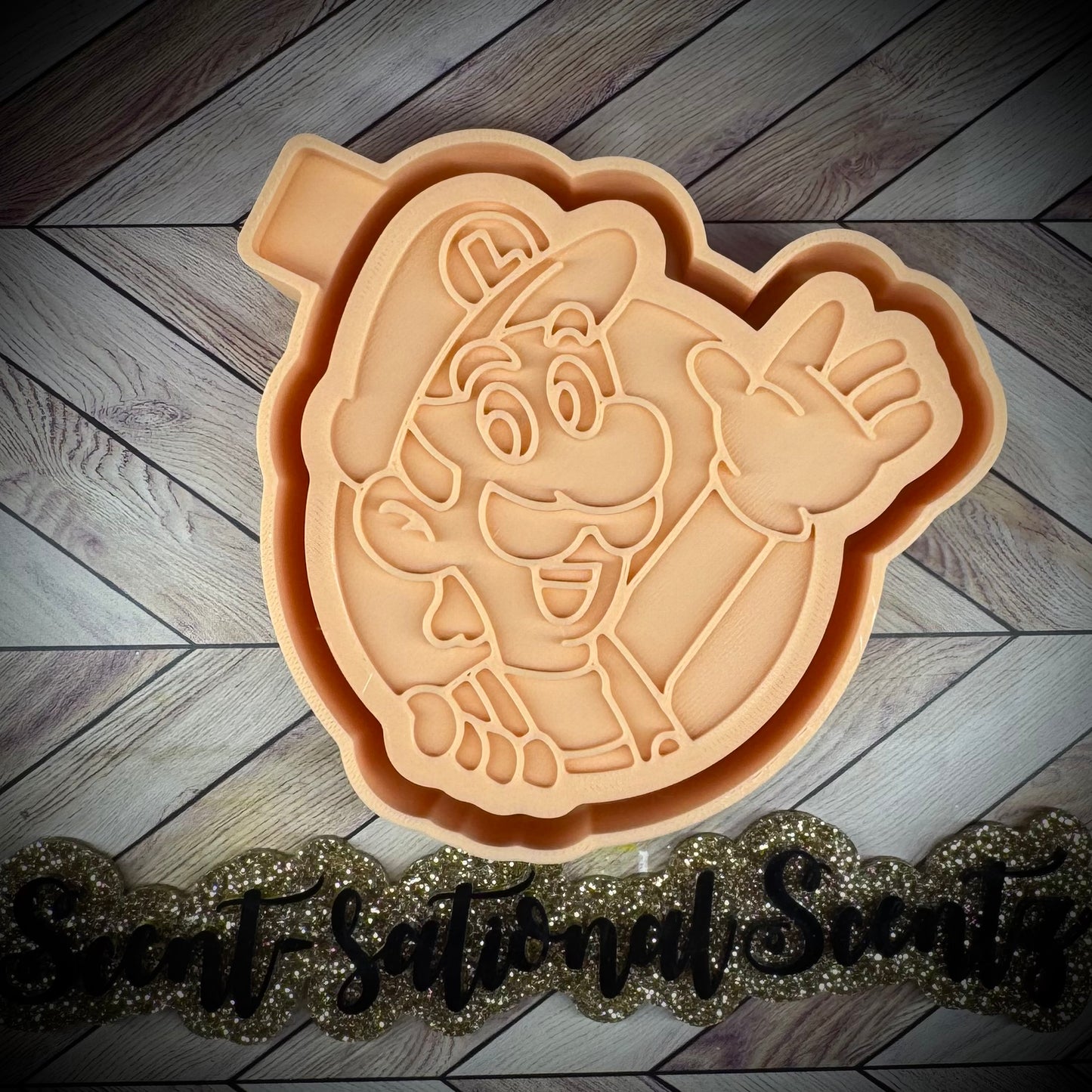 Luigi mold(521)
