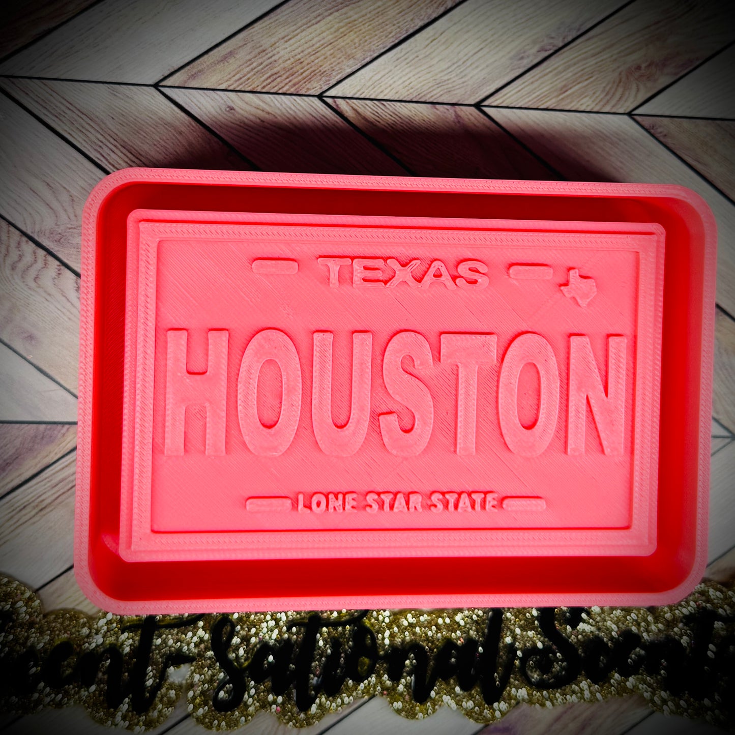Houston License Plate mold