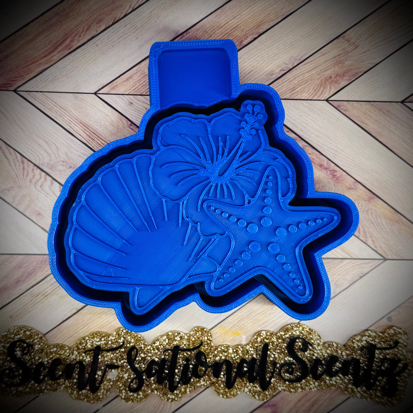 Summer Shells mold(415)