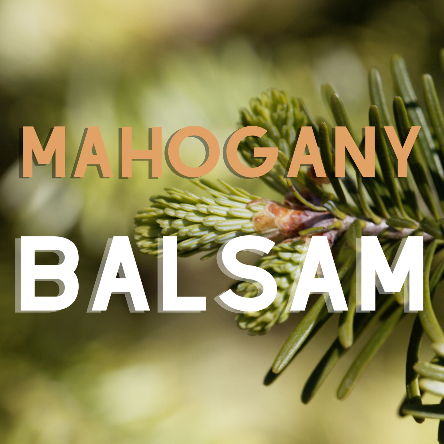 Mahogany Balsam scented beads