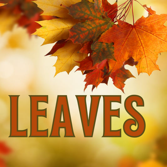 Leaves