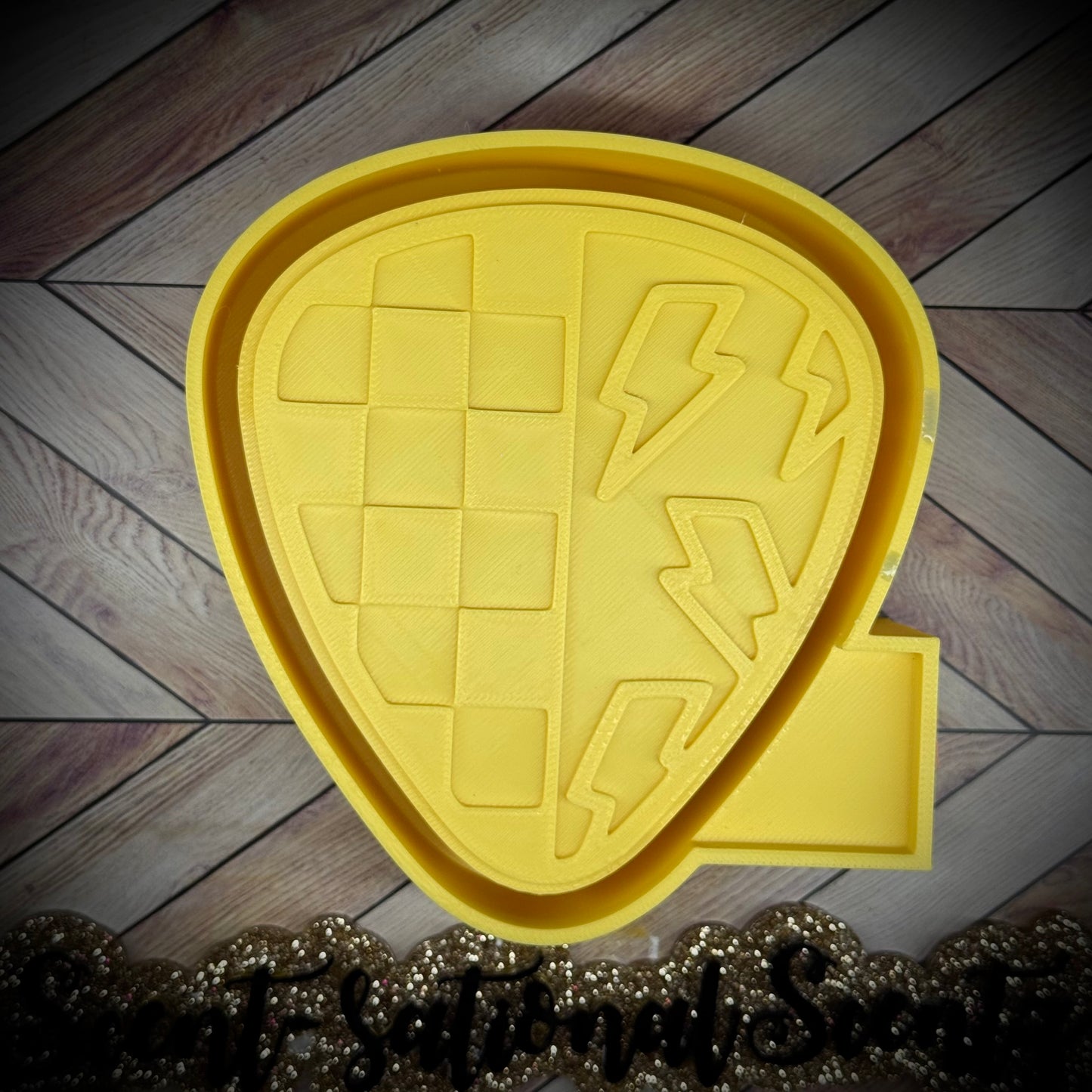 Guitar Pick mold(422)
