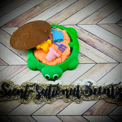 Desk top Turtle sandbox
