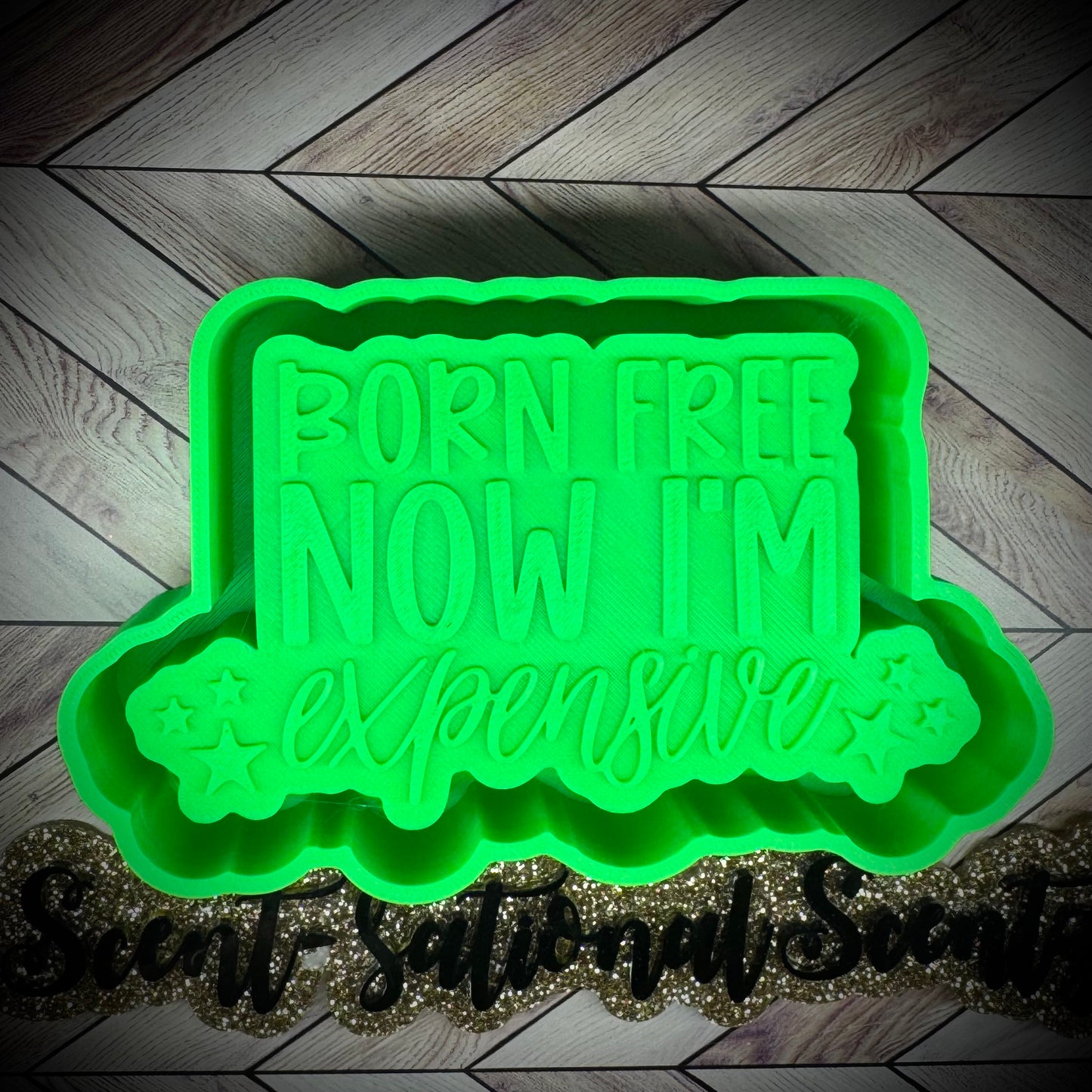 Born Free & Now I’m Expensive mold