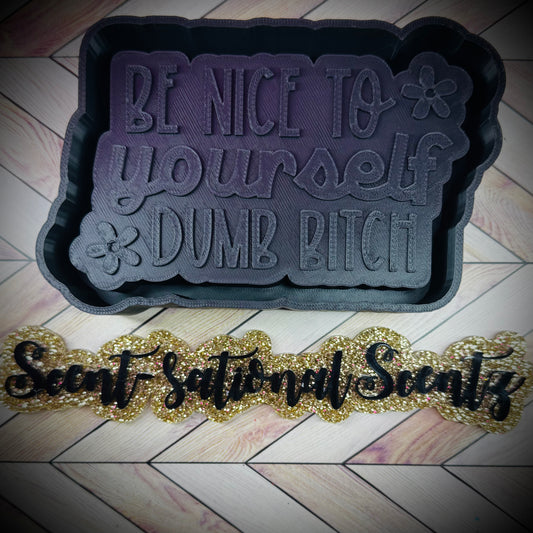 Be Nice To Yourself Freshie Mold