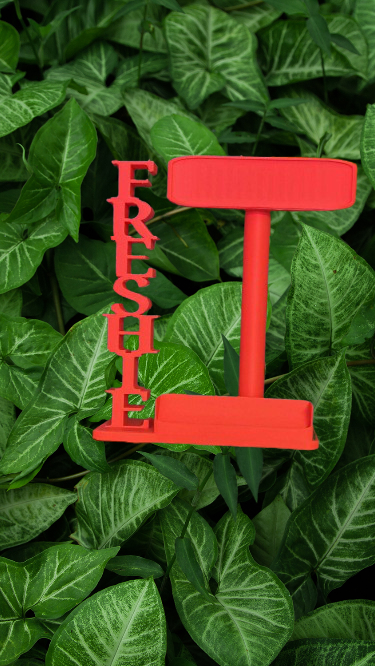 Simple Freshie Display